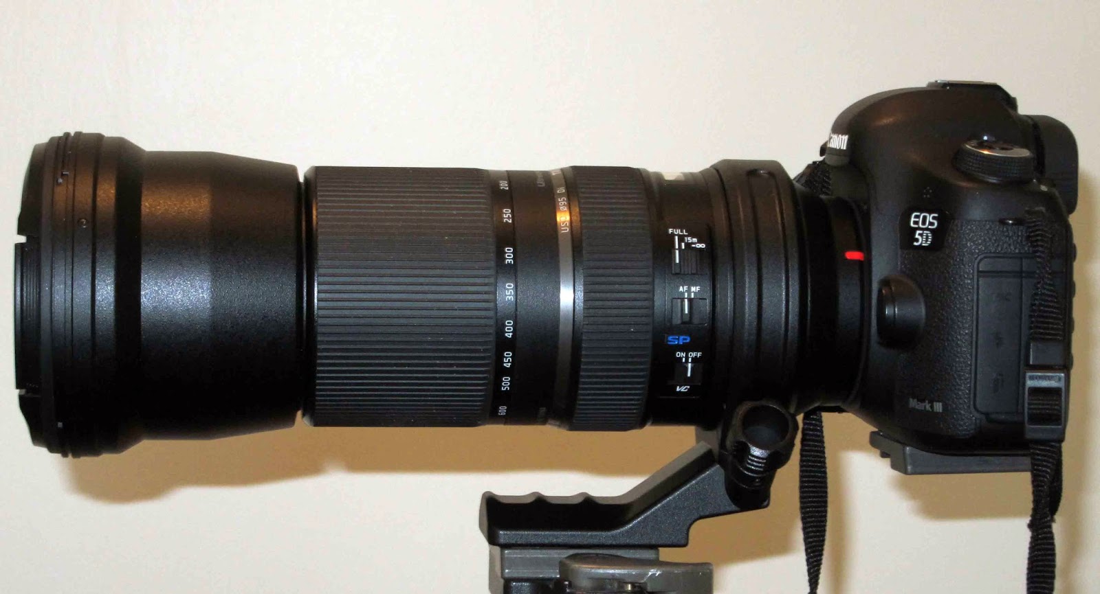 Exploring Nature in NC New Lens Tryout Tamron 150600