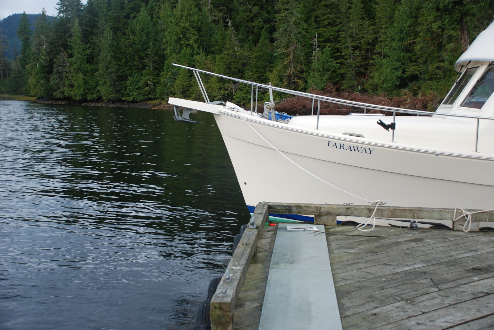 Mike's Boat Trips September 2017