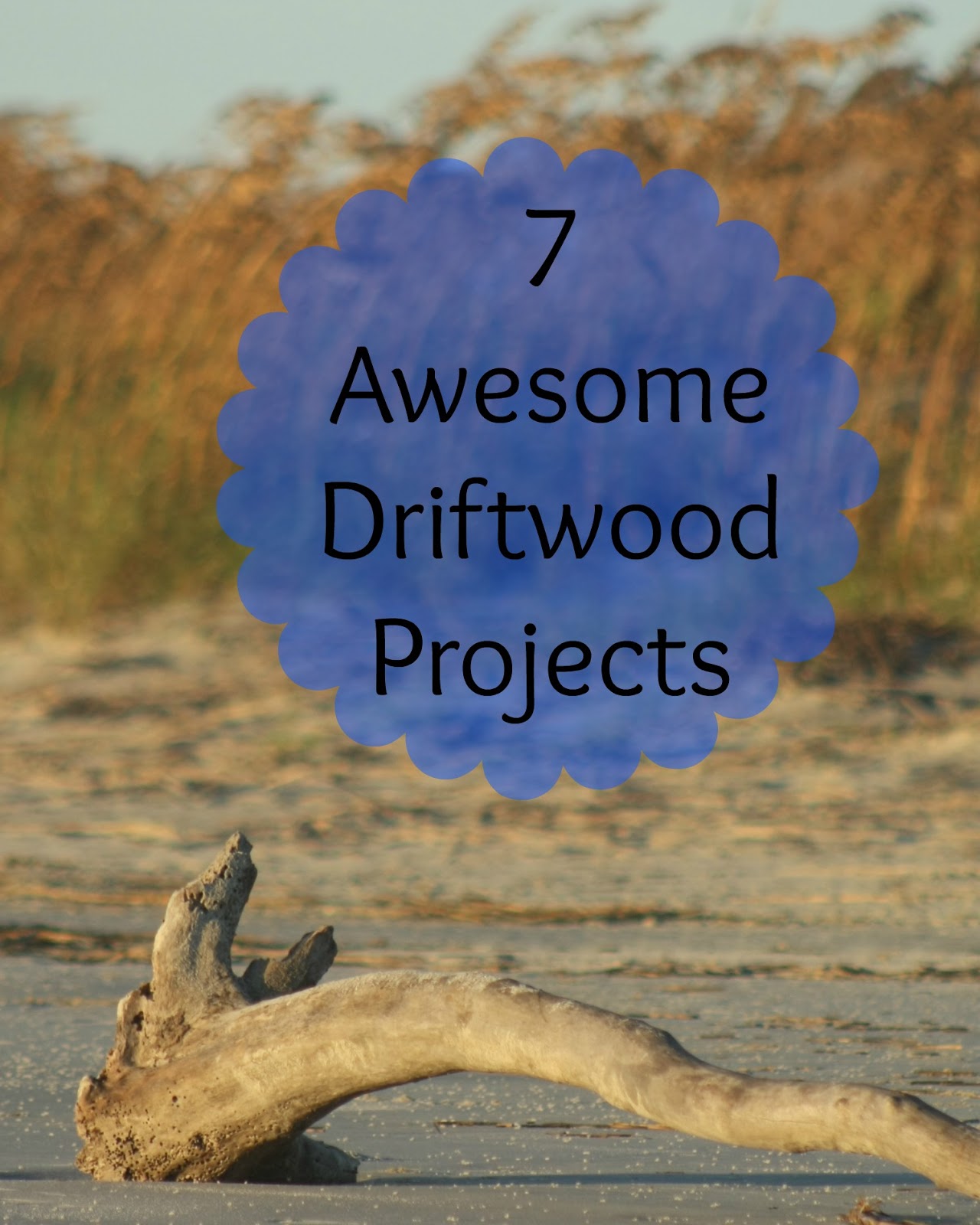 7 Awesome Driftwood Projects