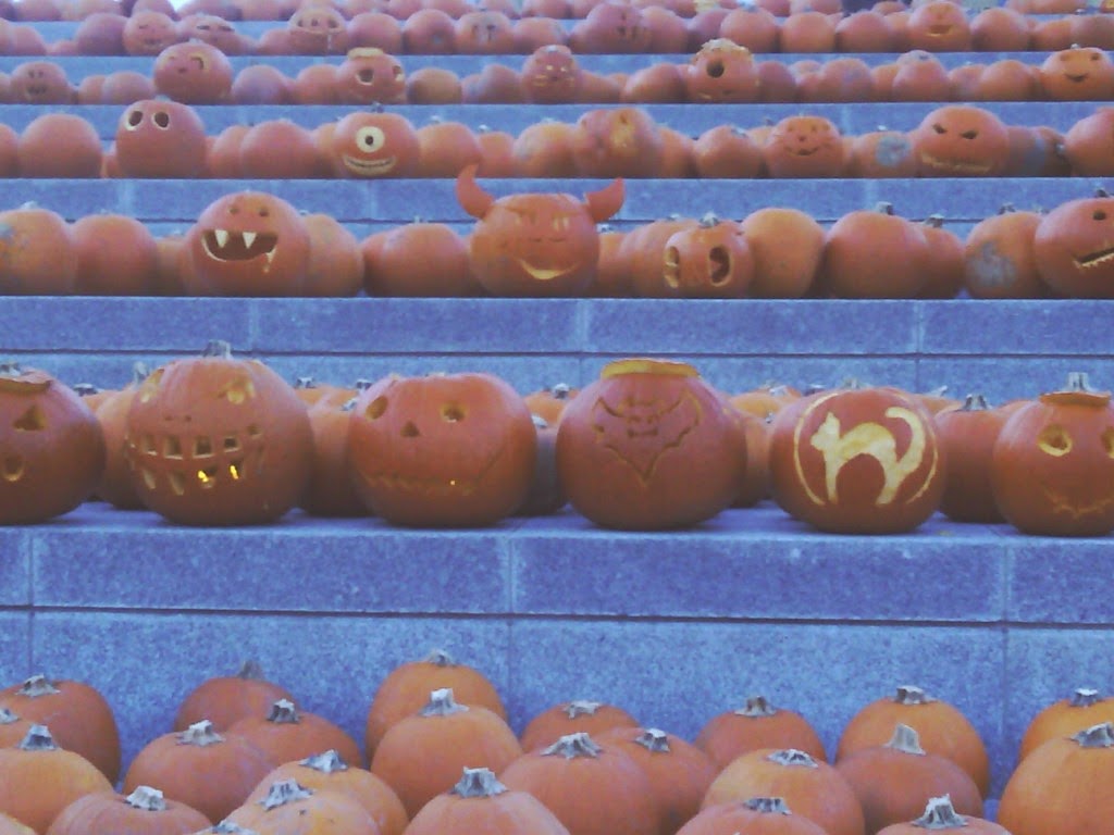 Pumpkins at KX - 3,000 of them for Halloween 2014!