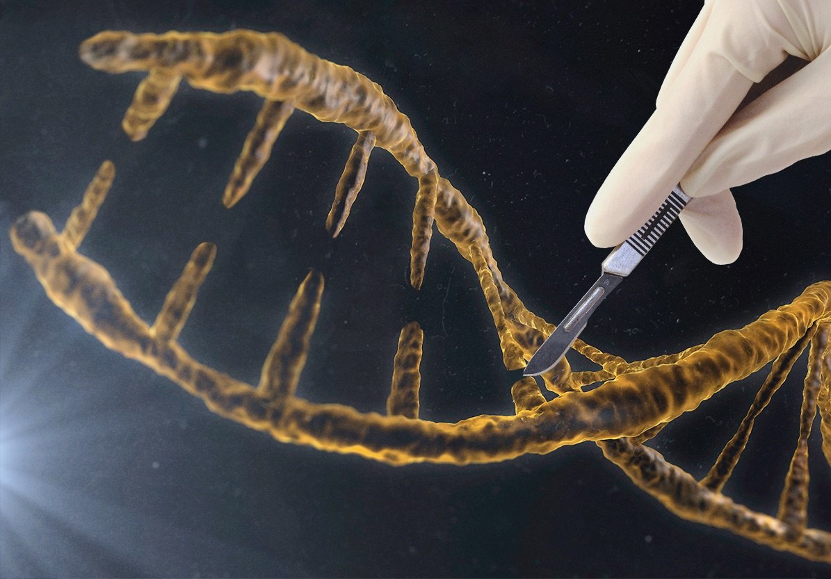 calcoli nella prostata e nella vescica essay
