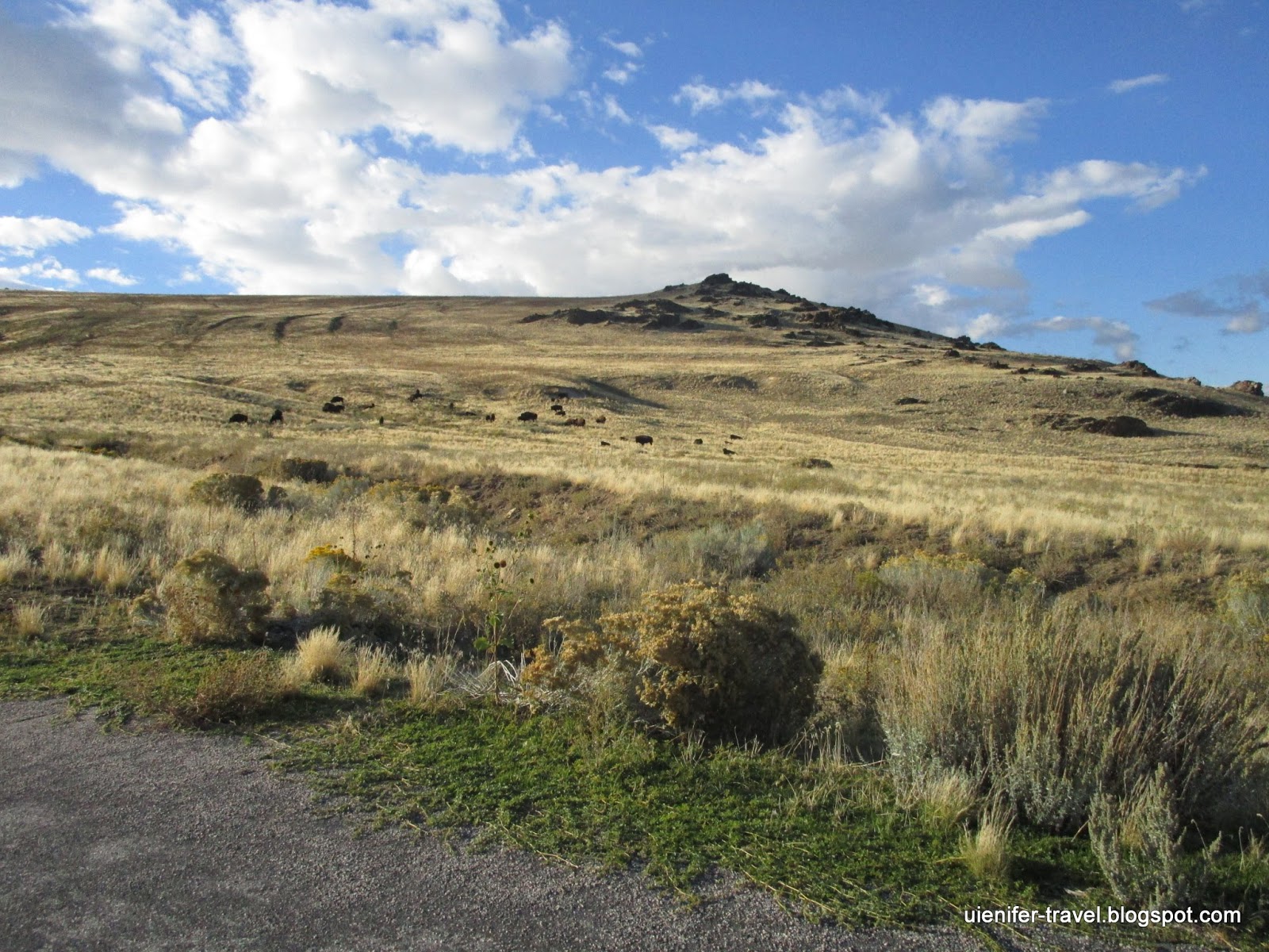 Остров Антилопа - Antelope Island, UT