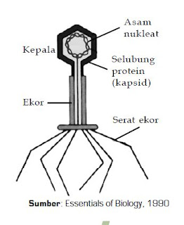 Mengenal Pengertian Virus,Ciri dan Struktur Virus, Reproduksi Virus, KLasifikasi dan Manfaat Virus bagi Manusia