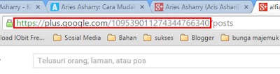 kode id Google+ angka