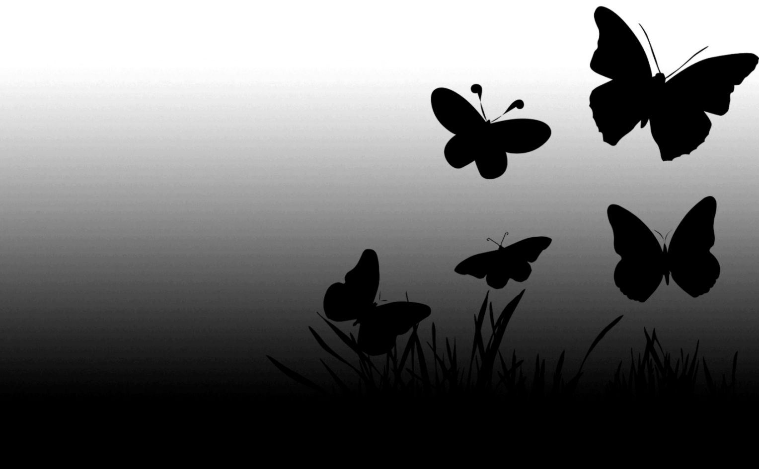 1361 Black Butterfly Wallpaper