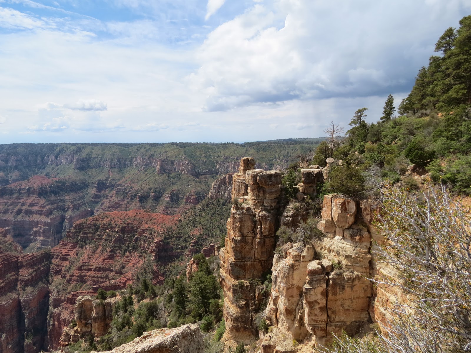 Grandpa Bill and Black Beauty Travel: North Rim, Grand Canyon, Aug. 22 ...