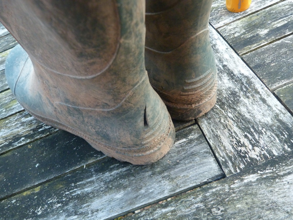 hotel marina el cid package