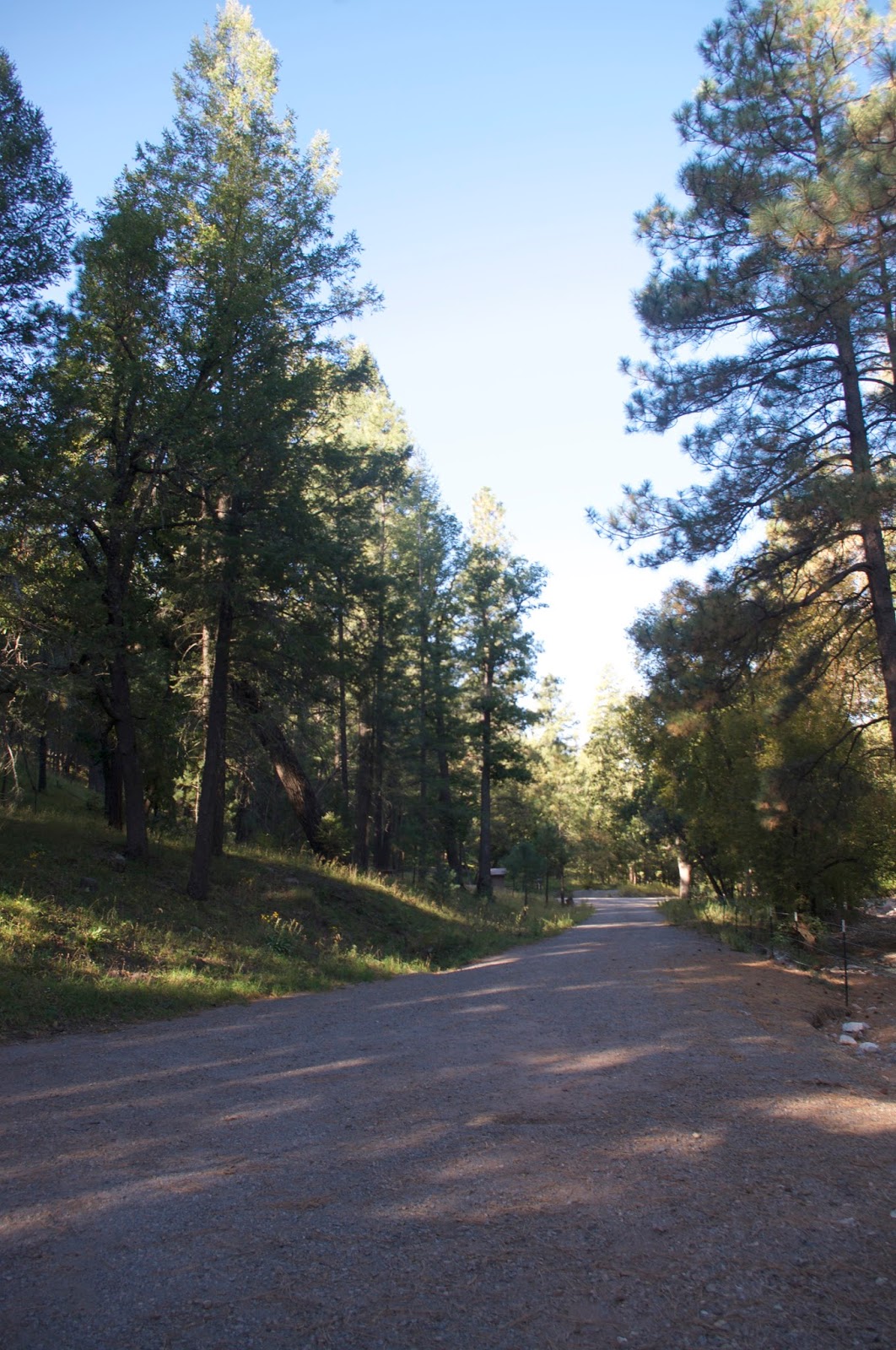 Southern New Mexico Explorer Iron Creek, Little Bear Canyon Gila