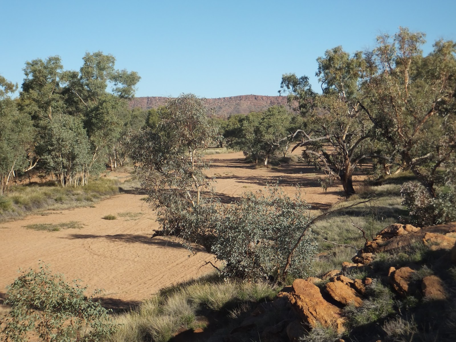 Ramsdens Ramblings Anzac Hill, Reptile Centre, Todd River, School of