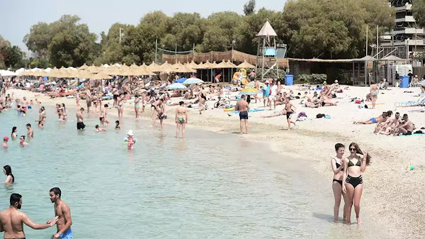 Ξεχύθηκαν οι μιγάδες της μεσογείου (στην πλειοψηφία τους) στις παραλίες της Αττικής - βίντεο Ξεχύθηκαν οι μιγάδες της μεσογείου (στην πλειοψηφία τους) στις παραλίες της Αττικής - βίντεο