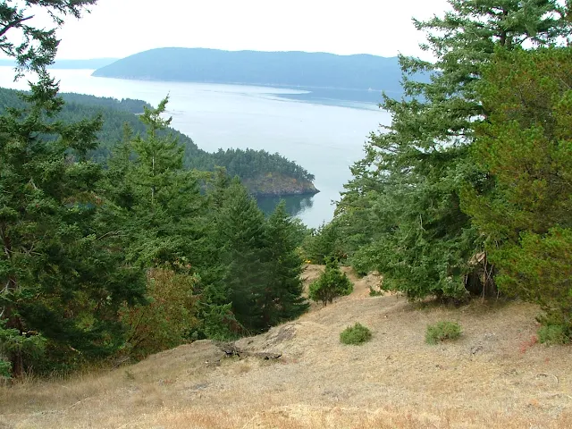 View of Rosario Strait from Cypress Island hike