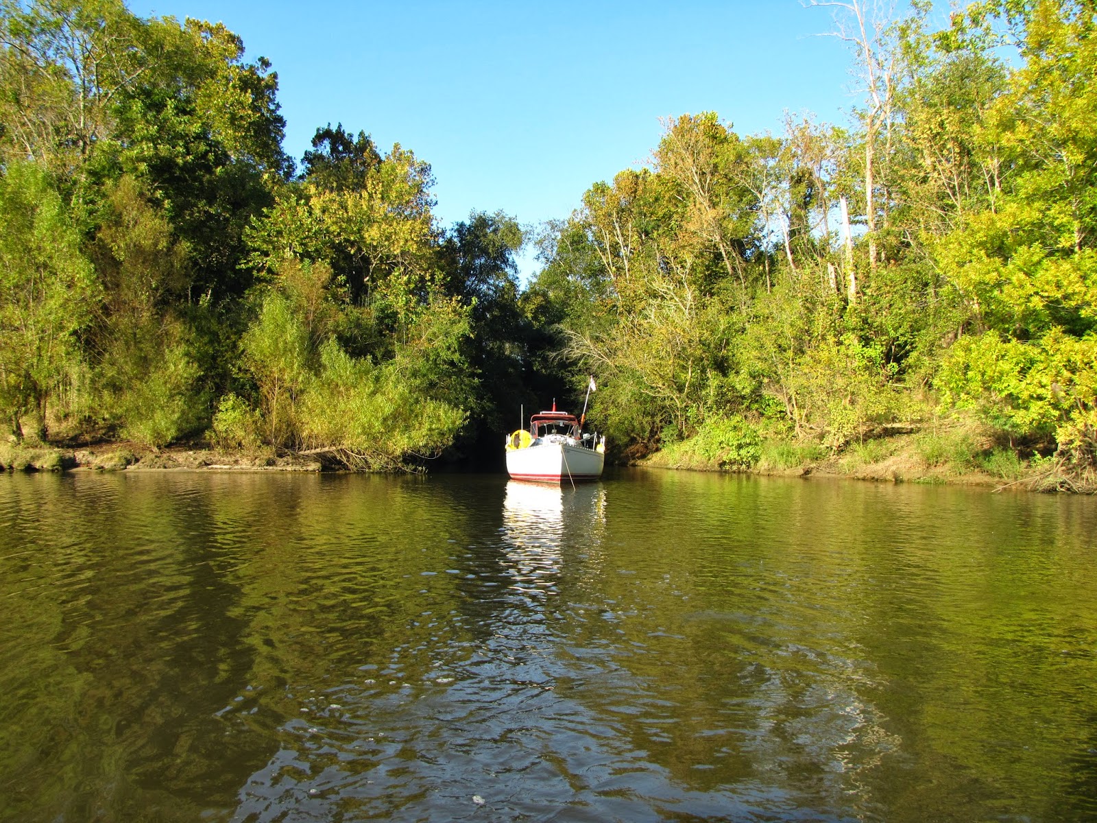 Pink 'N Blue View Tennessee Tombigbee Waterway & Black Warrior Tombigbee