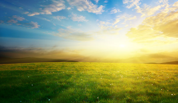 Facts About Sunlight Exposure And Vitamin D >>> Health-Zine.Info