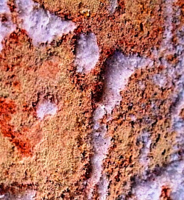 Close-up view of accumulated salt on foundation wall