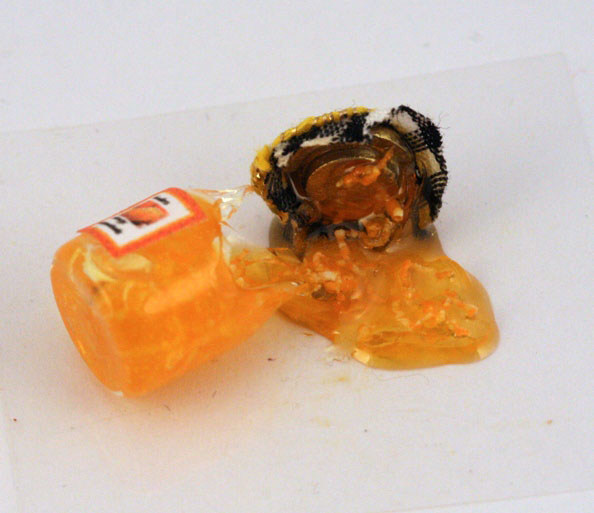 linsminiartform Broken Jars & Stilton!