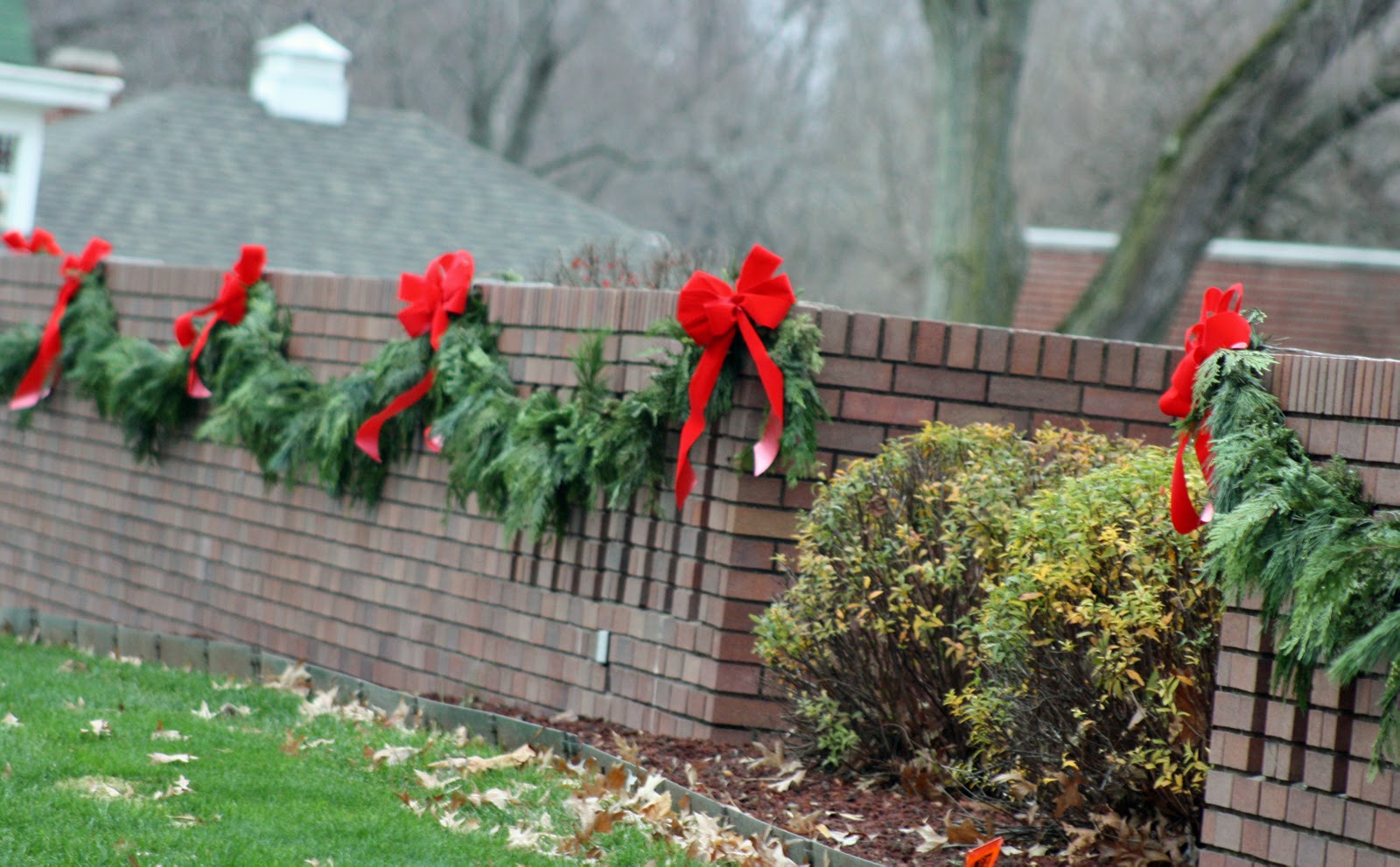 Petals & Co. Rochester State Bank