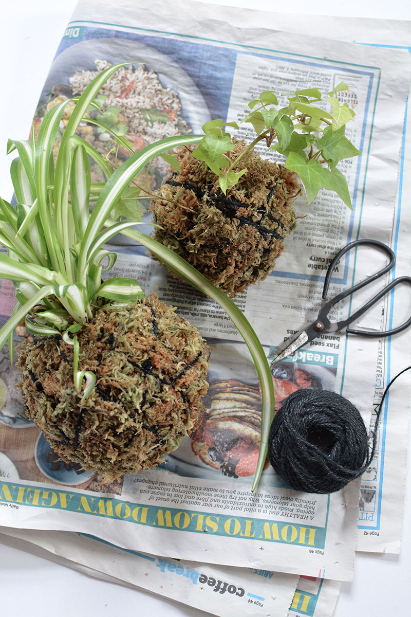 string garden, interiors, garden, japanese bonsai