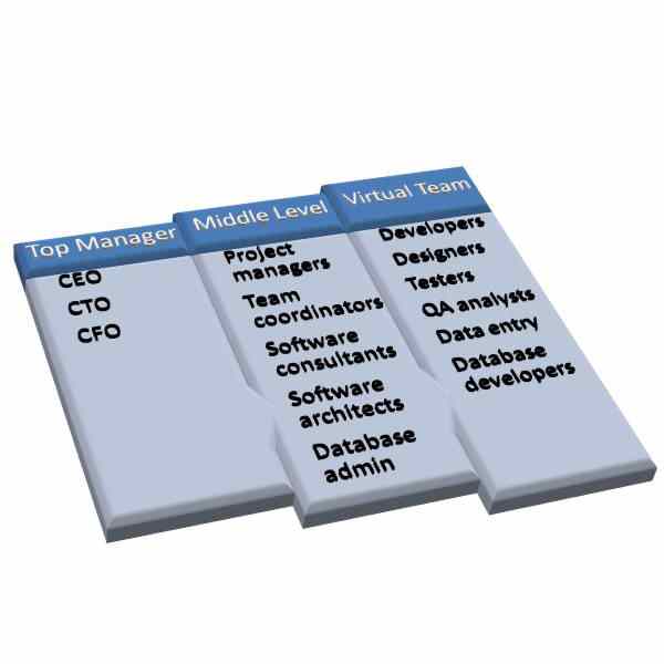 Virtual Organization: Virtual organization structure suitable for ...