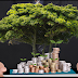 05 (cinco) melhores investimentos para 2016...