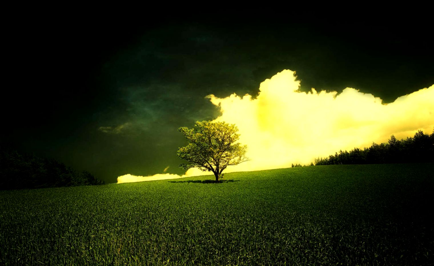 Download 150 HD Wide Screen Wallpapers Wallpaper Pack  Web Upd8