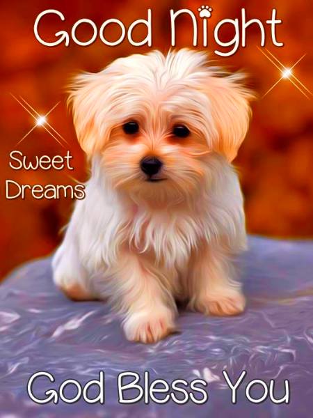 Get Top 10 Good Night Images For Whatsapp Instagram Whatsapp Status Desktop Wallpaper Free Wallpaper Top 10 Good Night Images For Whatsapp Instagram Whatsapp Status For Free