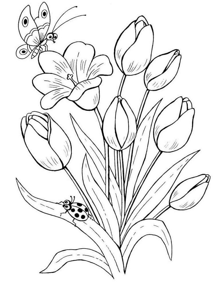 Gambar Mewarnai Bunga Tulip Terbaru | gambarcoloring