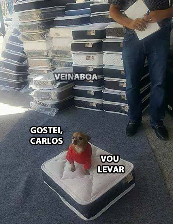 voulevar.png (600×778)