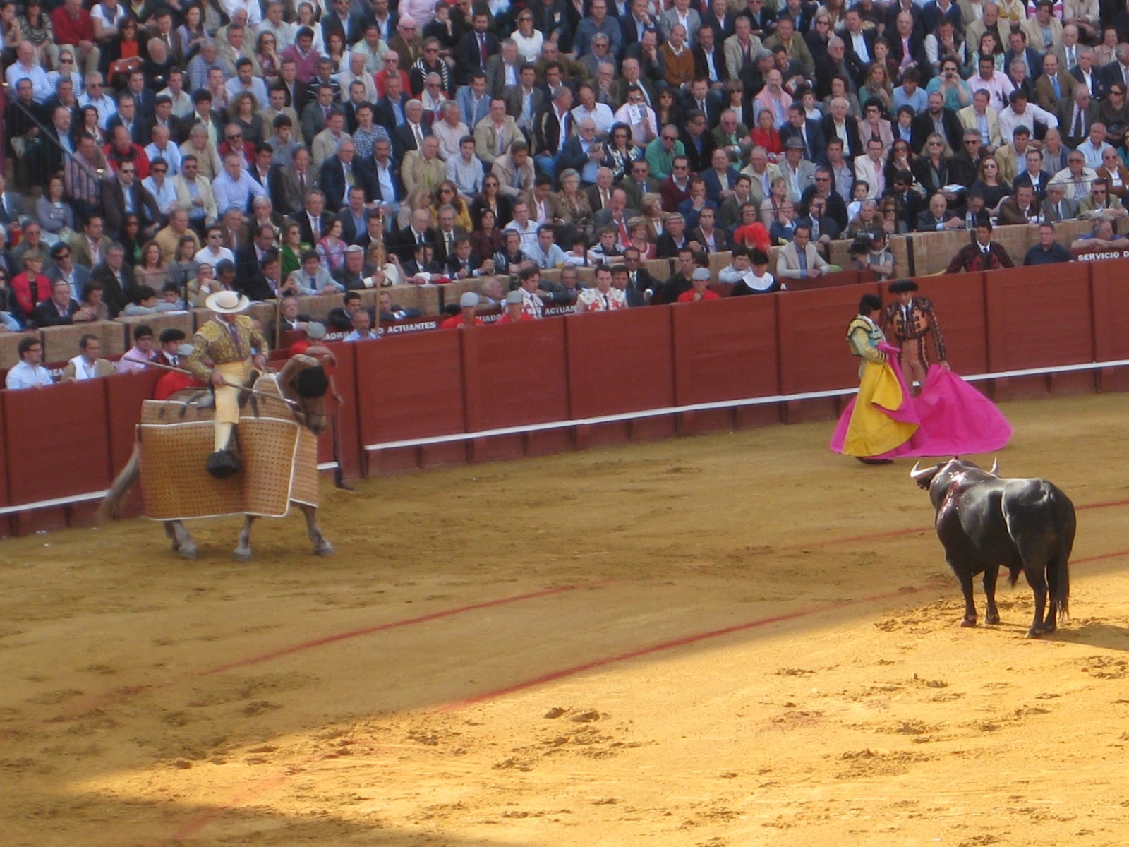 Livin' la Vida Lauren La Corrida de Toros