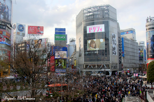 Japón primavera 2016 - 18 días (con bajo presupuesto) - Blogs de Japon - Día 4 - Gyoen - Meiji - Shibuya - Odaiba (10)