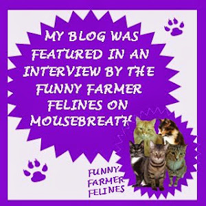 We were interviewed by the Funny Farmers for Mousebreath!