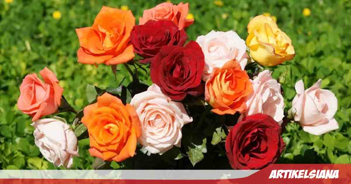 999+ Gambar Bunga yang Indah, Langka, Mahal dan Arti Makna