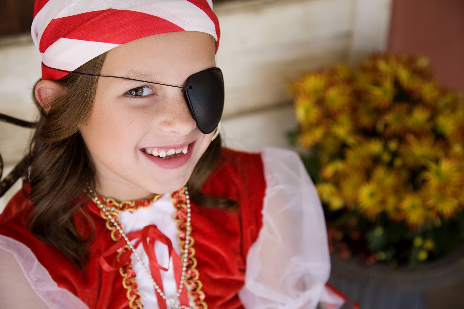 gardenview cottage: Halloween Pirate Pictures