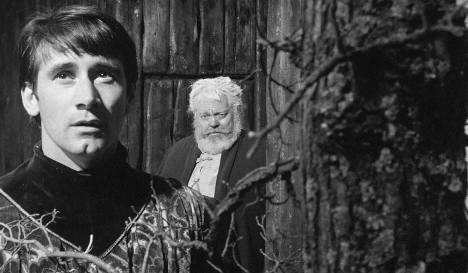 Criterion Confessions CHIMES AT MIDNIGHT 830