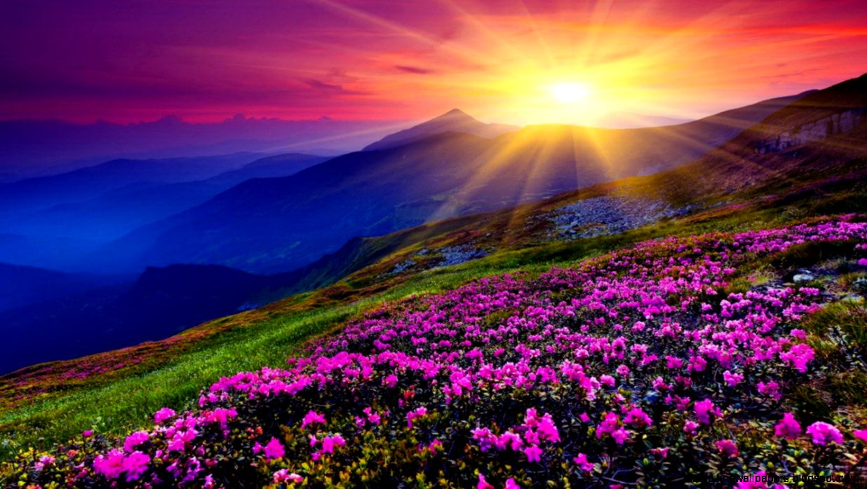 Download Beautiful Sunset Mountain Wallpaper For Iphone bpom8