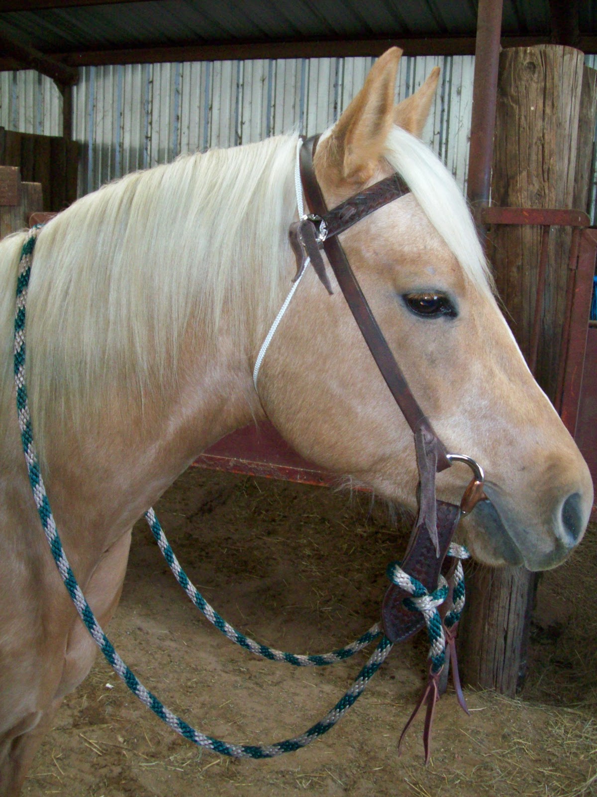 JL Horses, Cattle, and Cowboy Leather New Snaffle Bridle