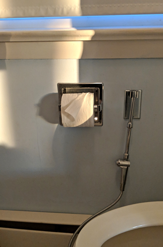 image of bidet attachment hanging on wall beside toilet paper roll, next to toilet, in my bathroom