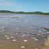 Análise da Adema indica presença de amônia em trecho do Rio Sergipe