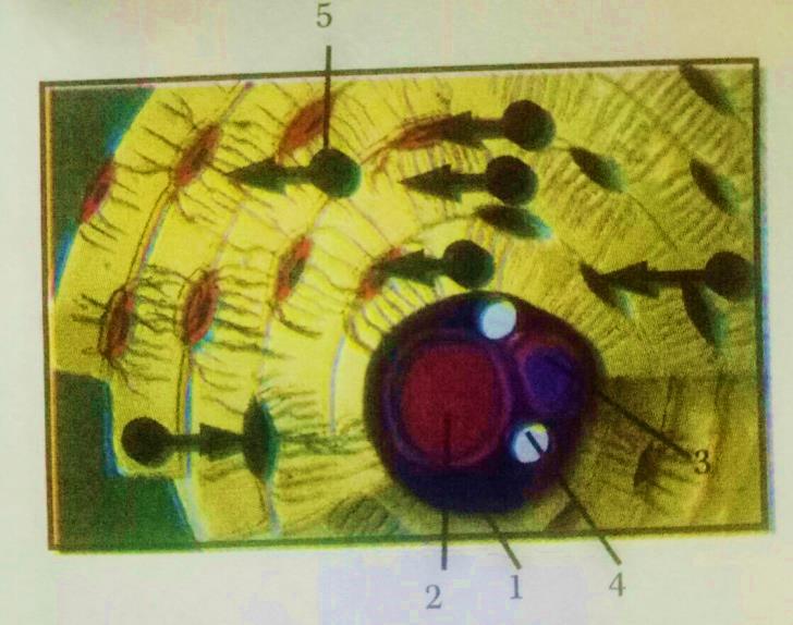 SOAL DAN PEMBAHASAN UJI KOMPETENSI BAB 3 JARINGAN PADA