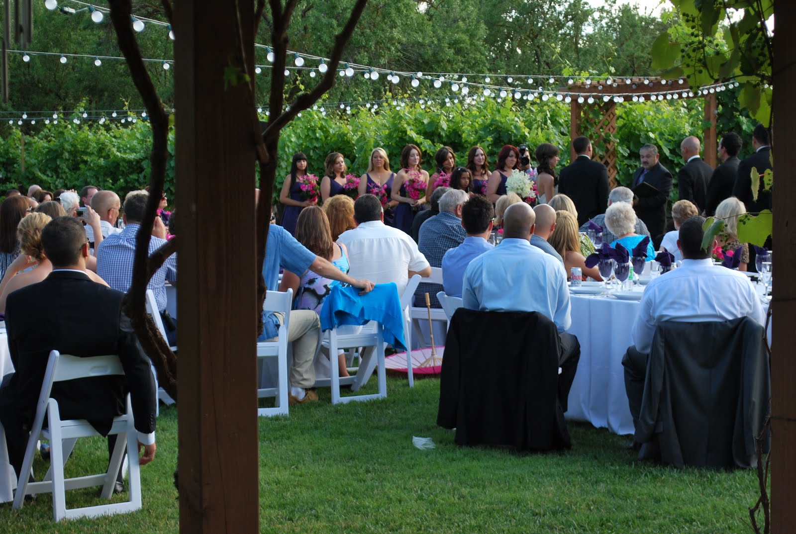 3 Oaks Vineyard Greetings from the vineyard!!