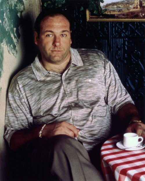 ira joel habercinemagebooks James Gandolfini 19612013 ira joel habercinemagebooks James Gandolfini 19612013