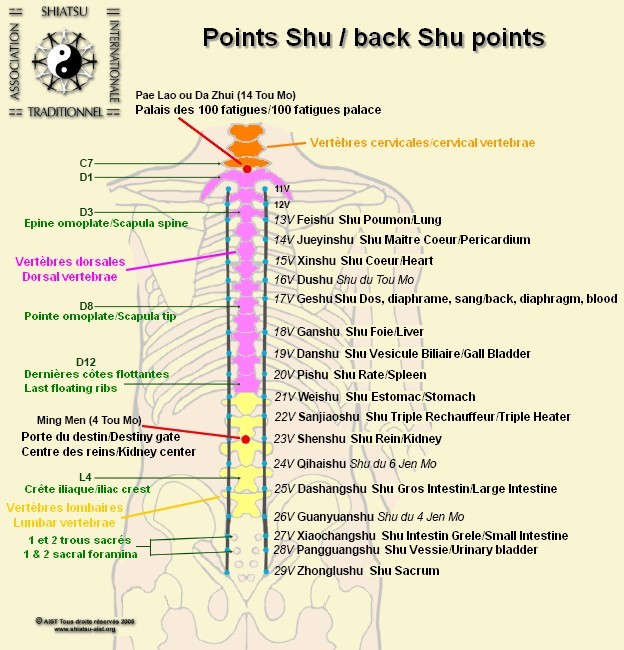 Acupuncture Treatment Back Shu Points Alarm Points