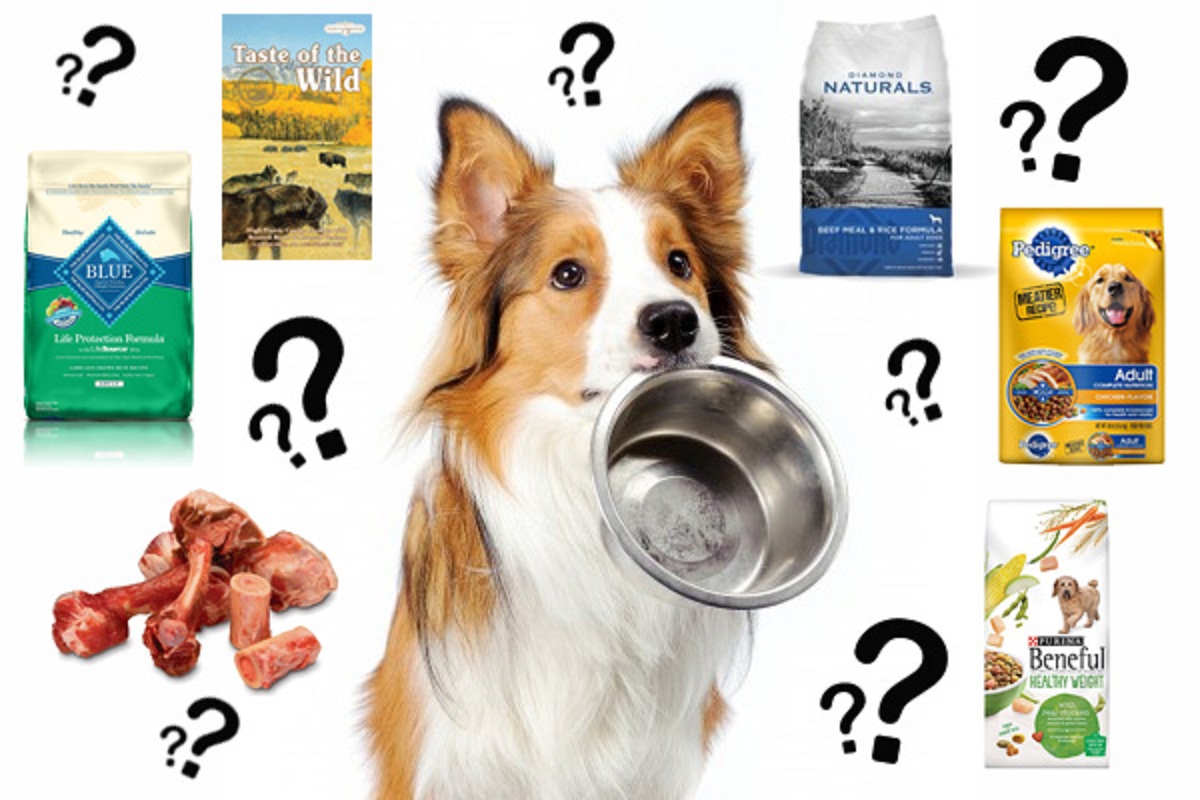 Tips in Choosing the Right Dog Food Doglopedix