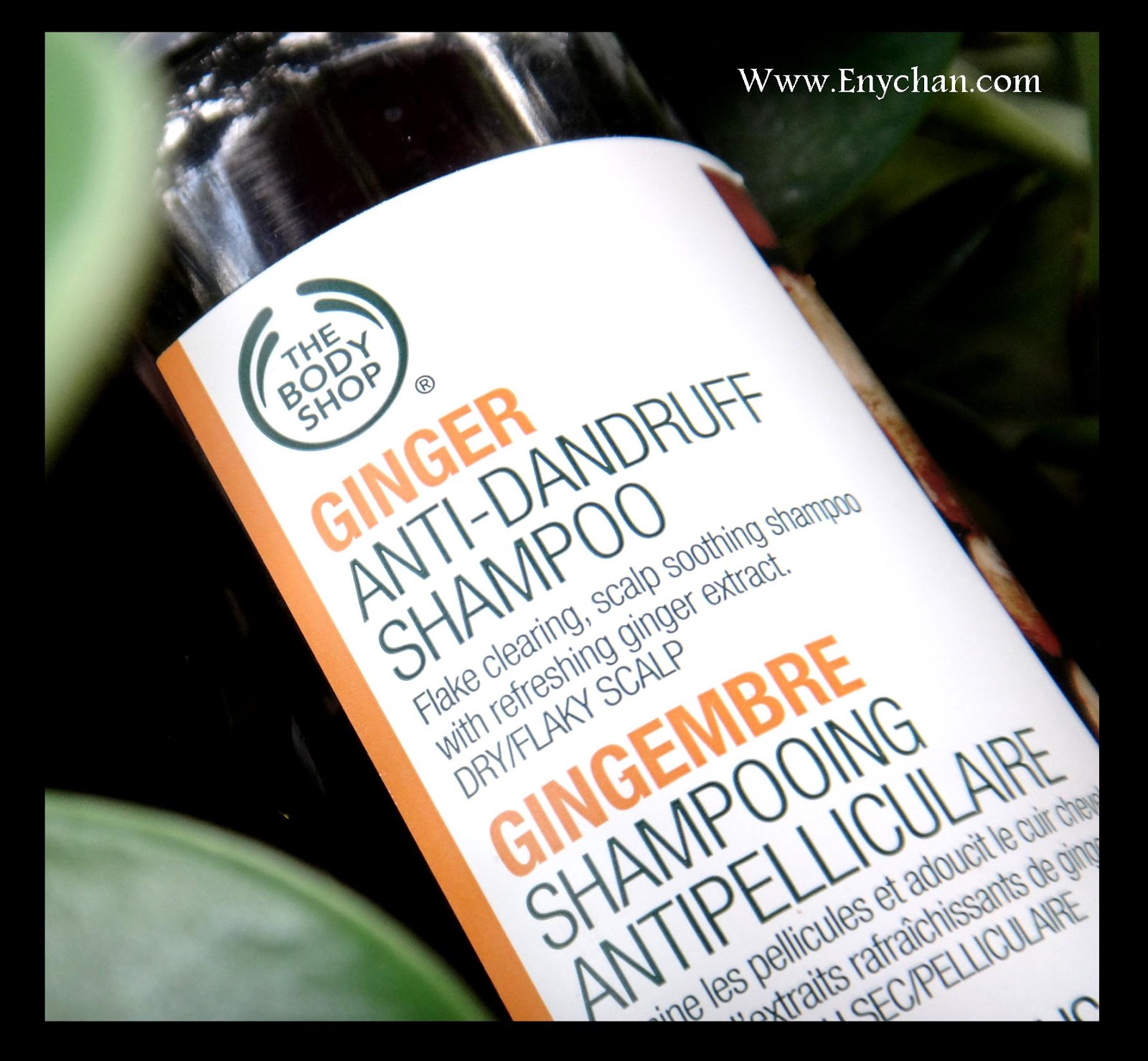 REVIEW The Body Shop (Ginger) Anti Dandruff Shampoo Eny Kadinda Aprilya