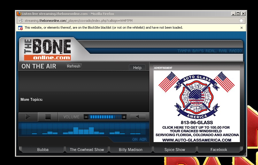 Windshield Replacement Services in Florida and Arizona Auto Glass