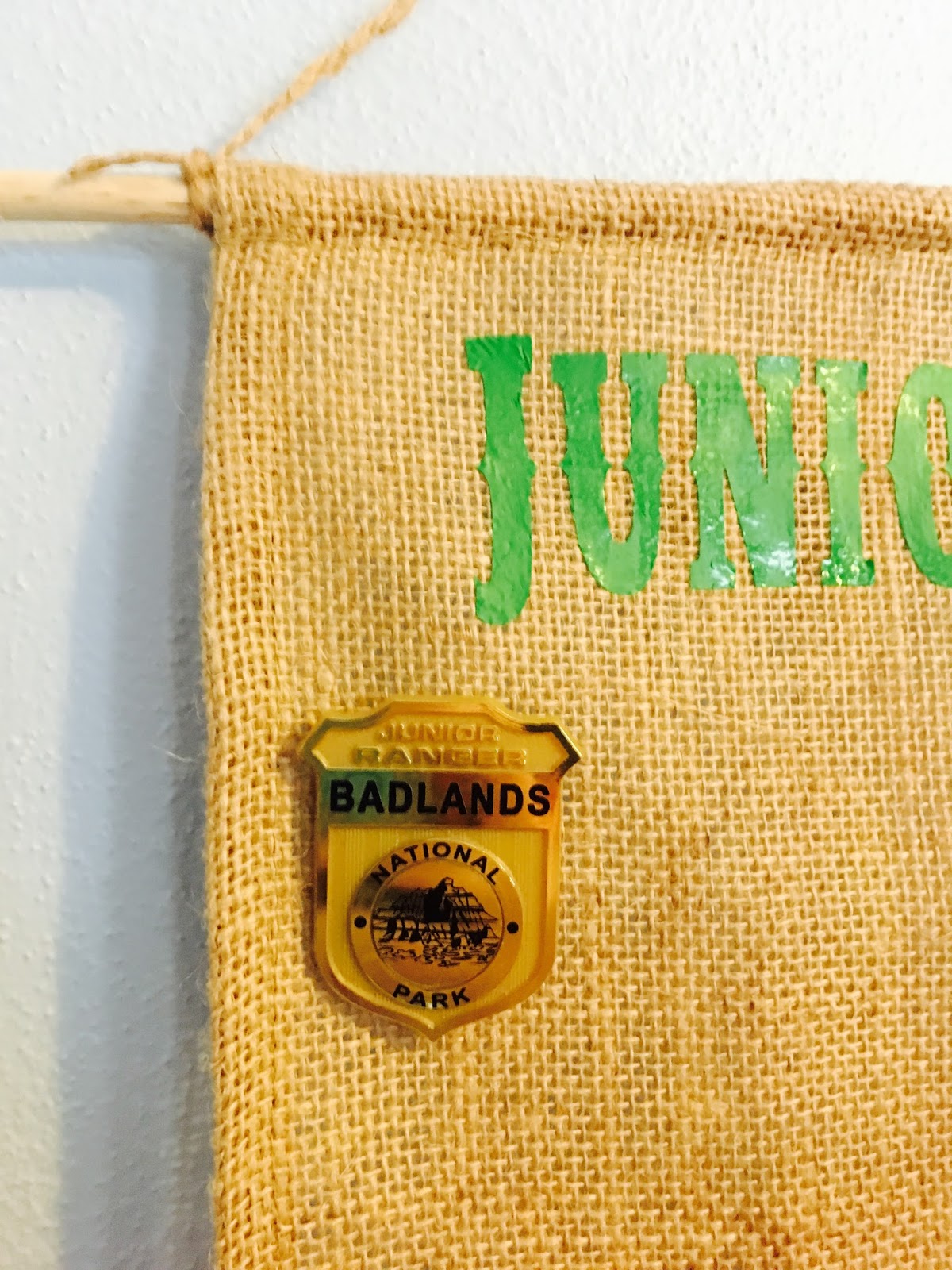 Junior Ranger Badge Display! - the farmer and the southern belle