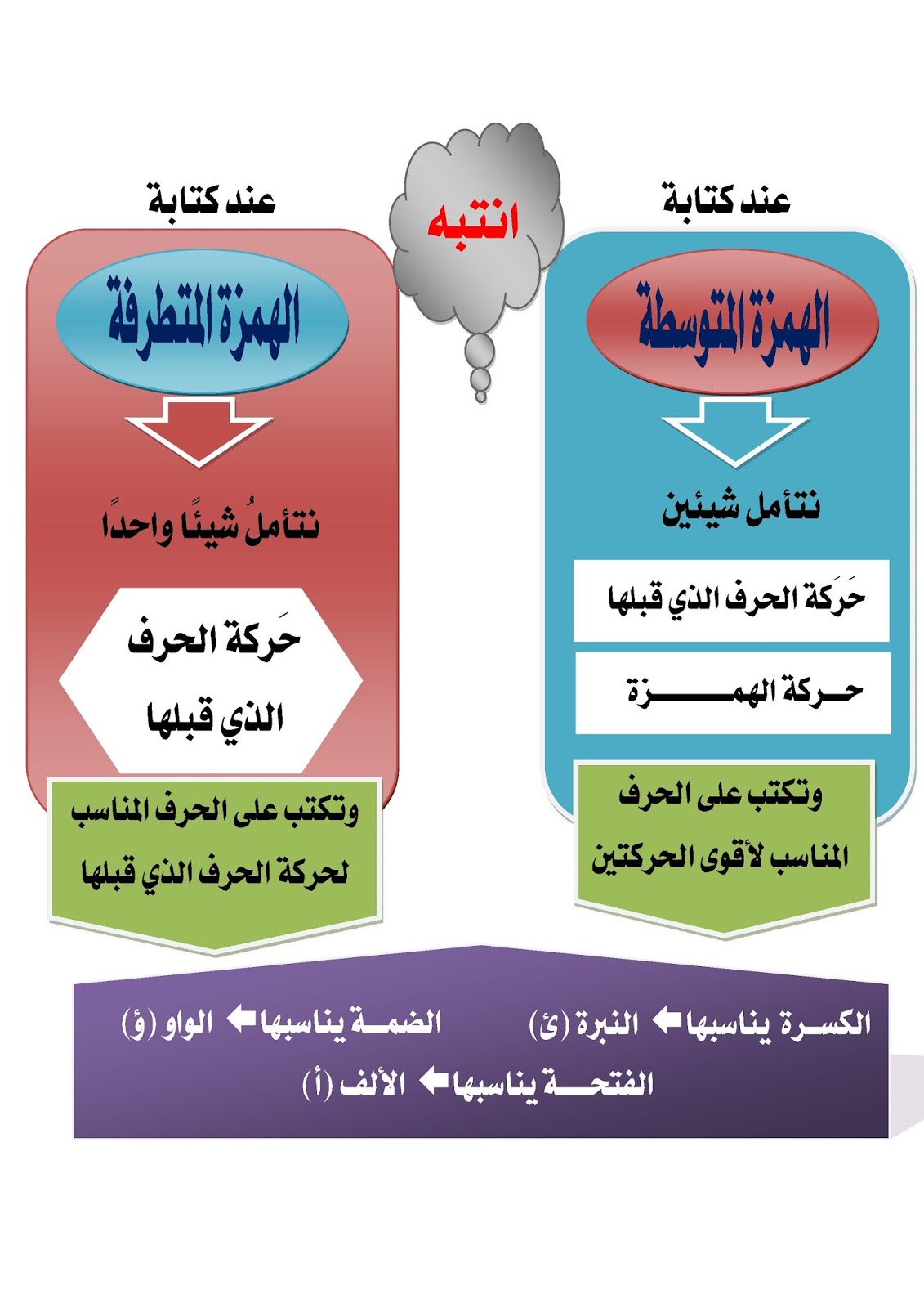 التدريبات اللغوية الفرقة الأولى