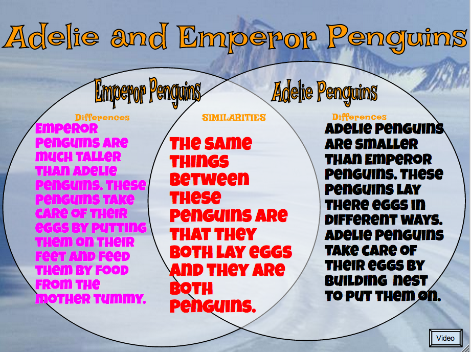 Rave: Difference Between Adelie Penguins and Emperor Penguins.