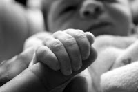 Baby holding finger. Stock Photo credit: coolza