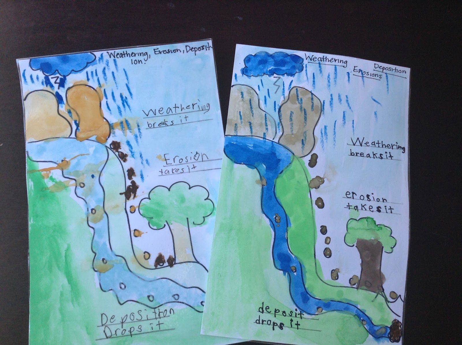 TeacherMomPlus3: Erosion, Weathering, and Deposition