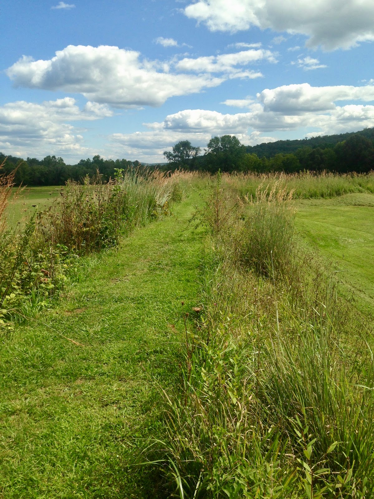 Amy's Creative Pursuits Battle Of Pilot Knob State Historic Site